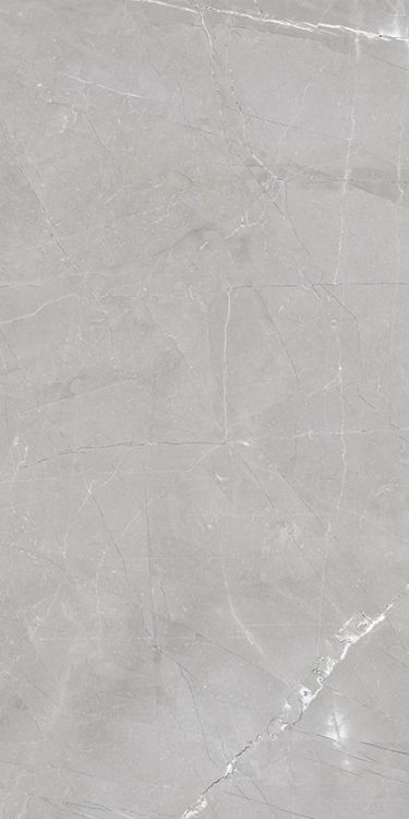 Luxury Amani Grey Matte 12 x 24